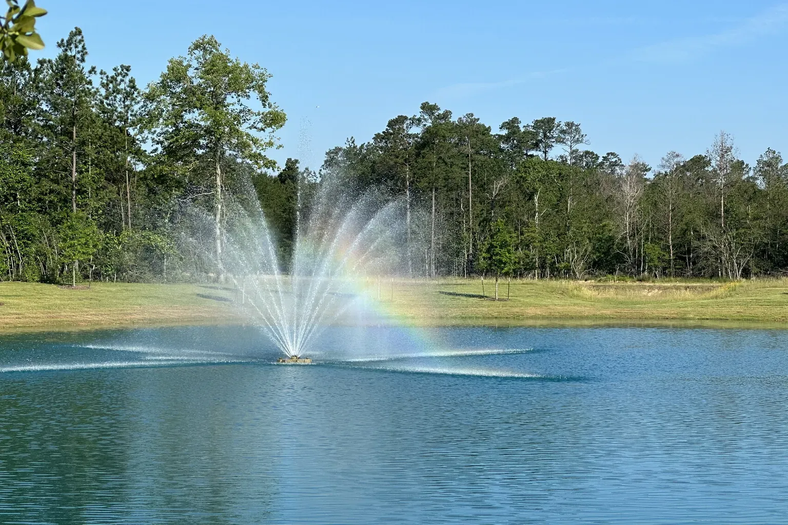 A fountain casting a rainbow across a Mavera pond with pine trees beyond the water